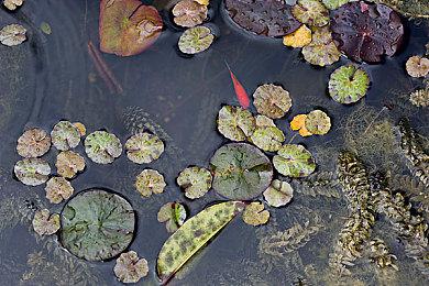 《星刃》销量已突破100万 PC版筹备中 未来将推出DLC和续作